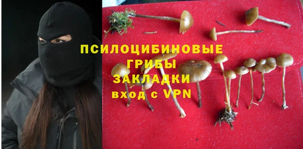 гидропоника Верея