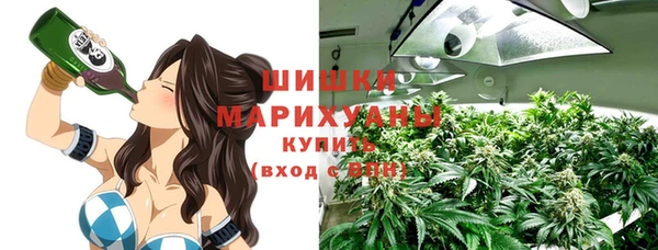 прущие грибы Верхнеуральск