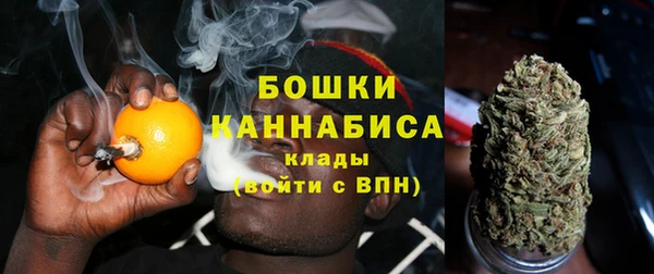 прущие грибы Верхнеуральск